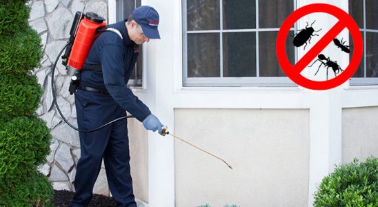 Efeler Gümüşkurt İlaçlama böcek ilaçlama ve haşere kontrolü — ilaclama-tr.com